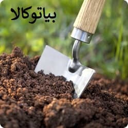 خاک مناسب کاشت درخت هلو و شلیل